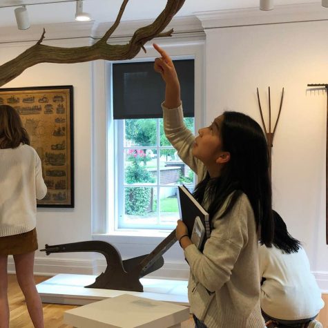 Yuka Masamura ’21 examines a tree branch in the exhibit.