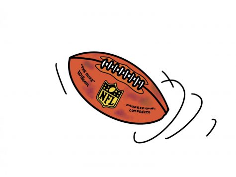 Punt Abusers From the NFL