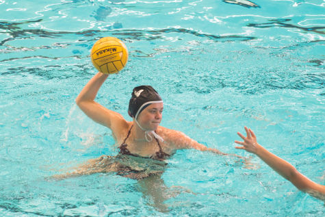 Two Spring Teams Canceled