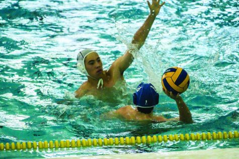 Water Polo Builds Foundation