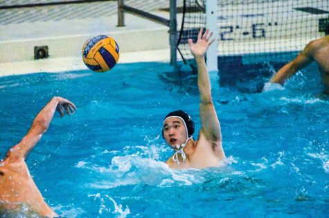 Water Polo Finishes Bittersweet Season