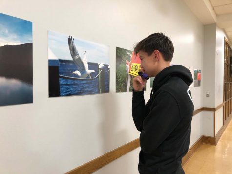 SEA x ink. Exhibit Blends Art and Environmentalism