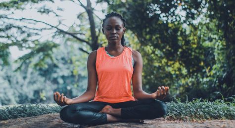 According to Mr. Lang and Ms. von Jess, practicing meditation is a great way to manage emotions and thoughts.