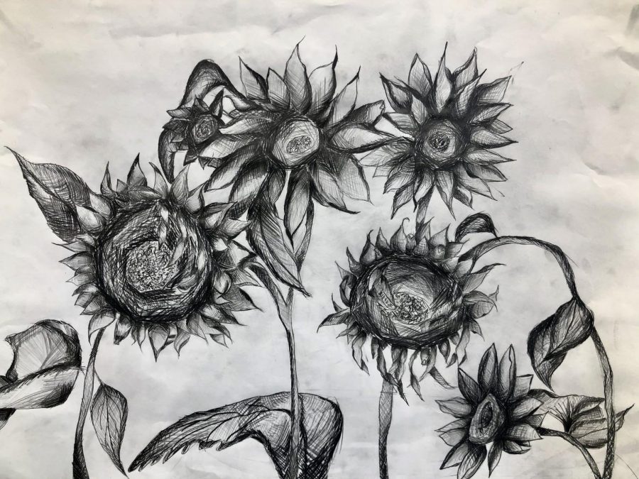 sunflowers (no.1)