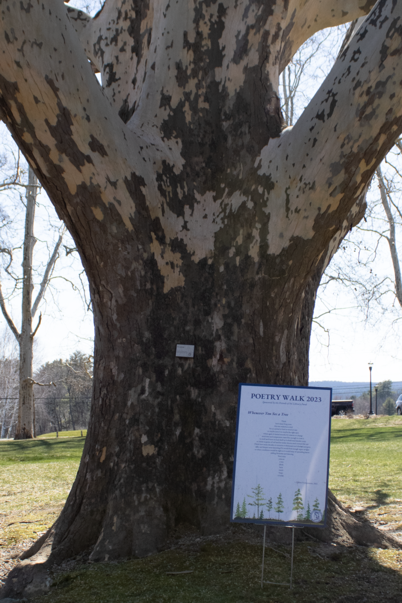 Padma Venkatramans poem “Whenever You See a Tree” is located outside the Griswold Science Center. 