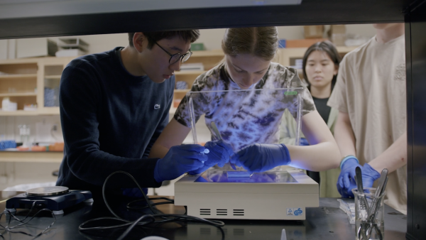 Students share experimental findings with schools across the world.