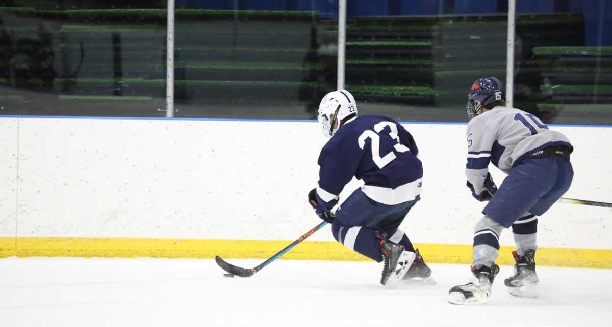 The hockey rink surface is composed of twelve layers of ice.